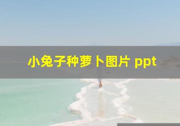 小兔子种萝卜图片 ppt